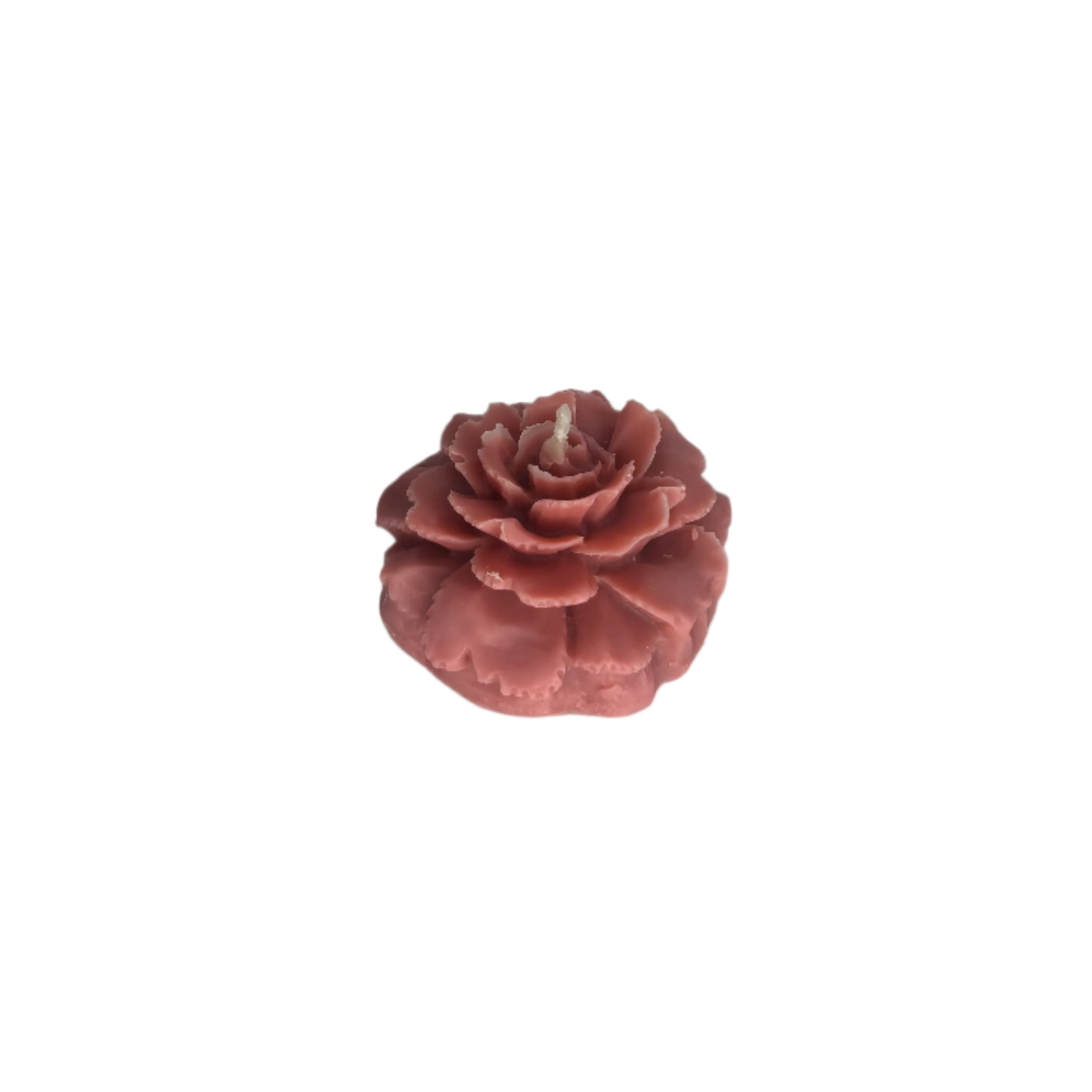 Flower Drum Rose Blush Pink Decorative Soy Candle